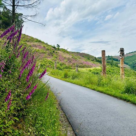 Traumwohnung Mit Sauna, Whirlpool & Wunderschoener Aussicht Plettenberg Dış mekan fotoğraf